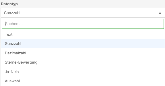 Zusatzfelder in der SpikeTime Zeiterfassung