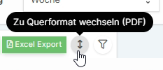 Option zur Anzeige von Filtern im PDF